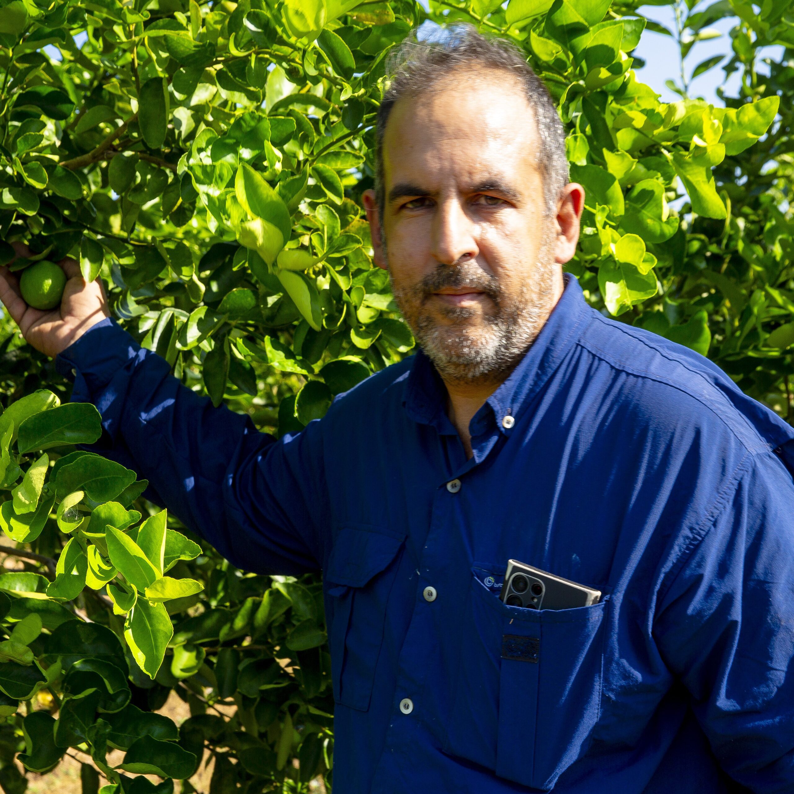 Produtores do Agro | Produtos Frescos e Sustentáveis Direto do Alto Rodrigues RN - Descubra os melhores produtos frescos do Alto Rodrigues. Conecte-se diretamente com produtores locais e apoie a agricultura sustentável. Saiba mais!