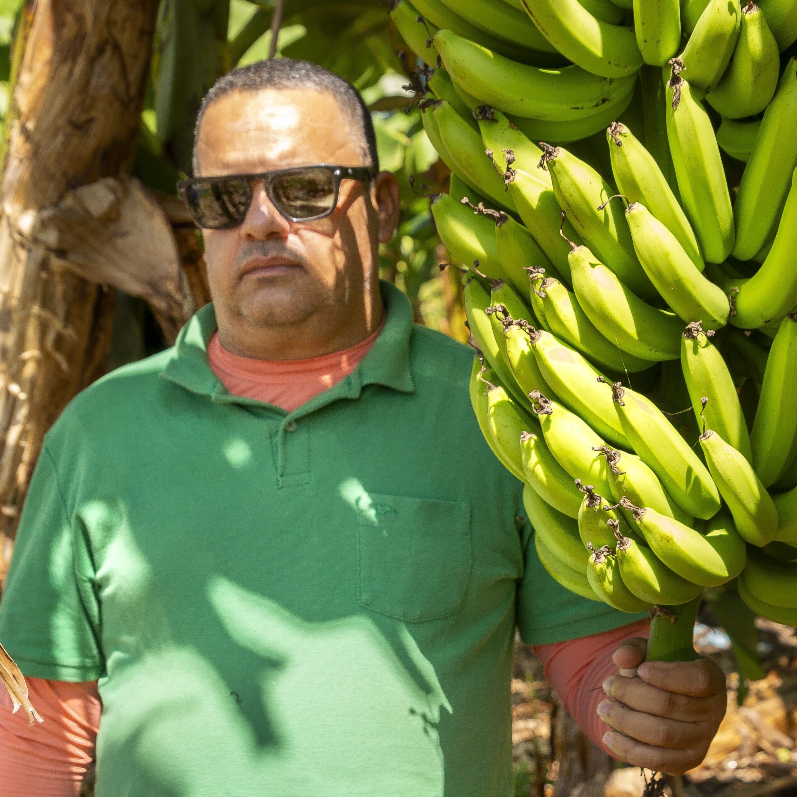 Produtores do Agro | Produtos Frescos e Sustentáveis Direto do Alto Rodrigues RN - Descubra os melhores produtos frescos do Alto Rodrigues. Conecte-se diretamente com produtores locais e apoie a agricultura sustentável. Saiba mais!