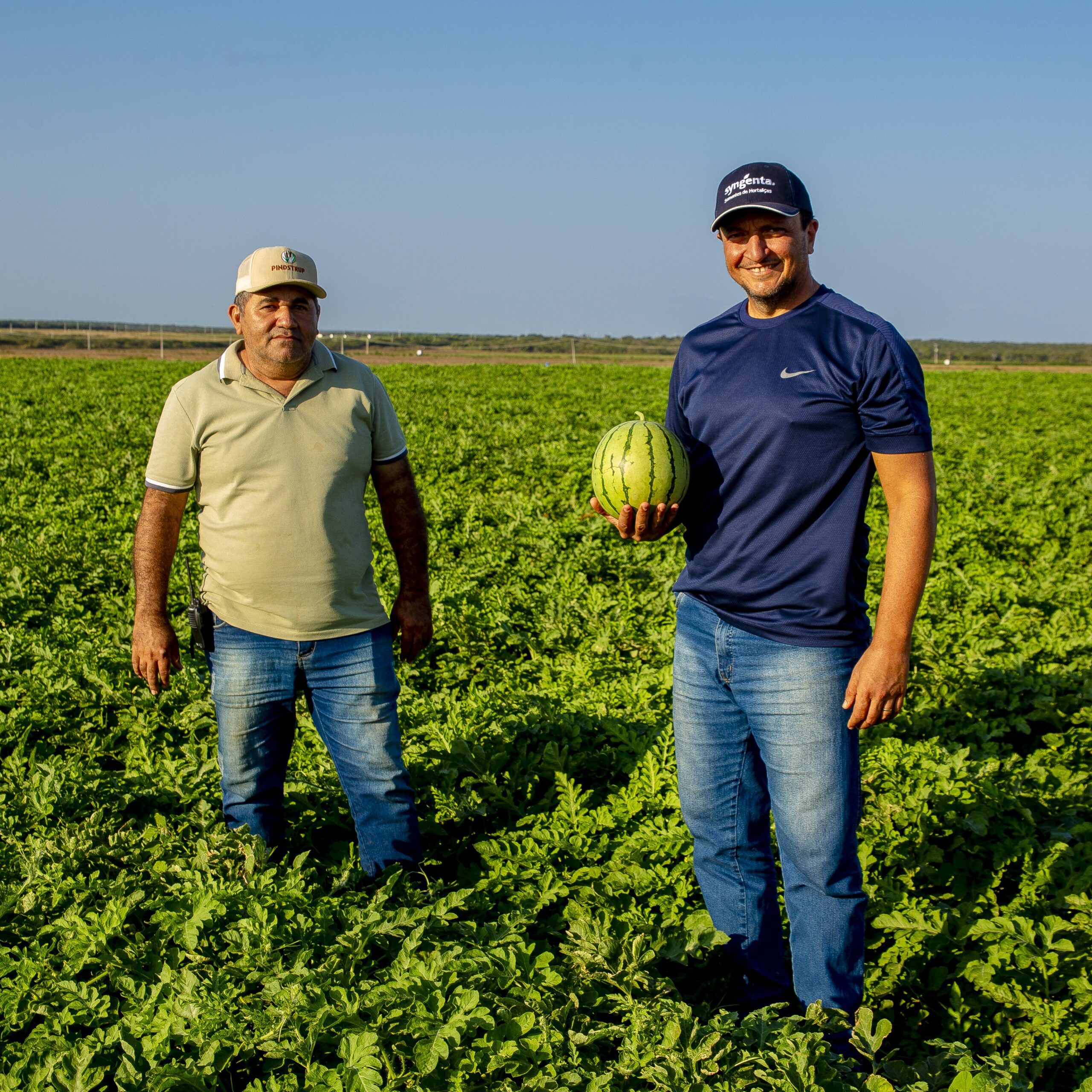 Produtores do Agro | Produtos Frescos e Sustentáveis Direto do Alto Rodrigues RN - Descubra os melhores produtos frescos do Alto Rodrigues. Conecte-se diretamente com produtores locais e apoie a agricultura sustentável. Saiba mais!