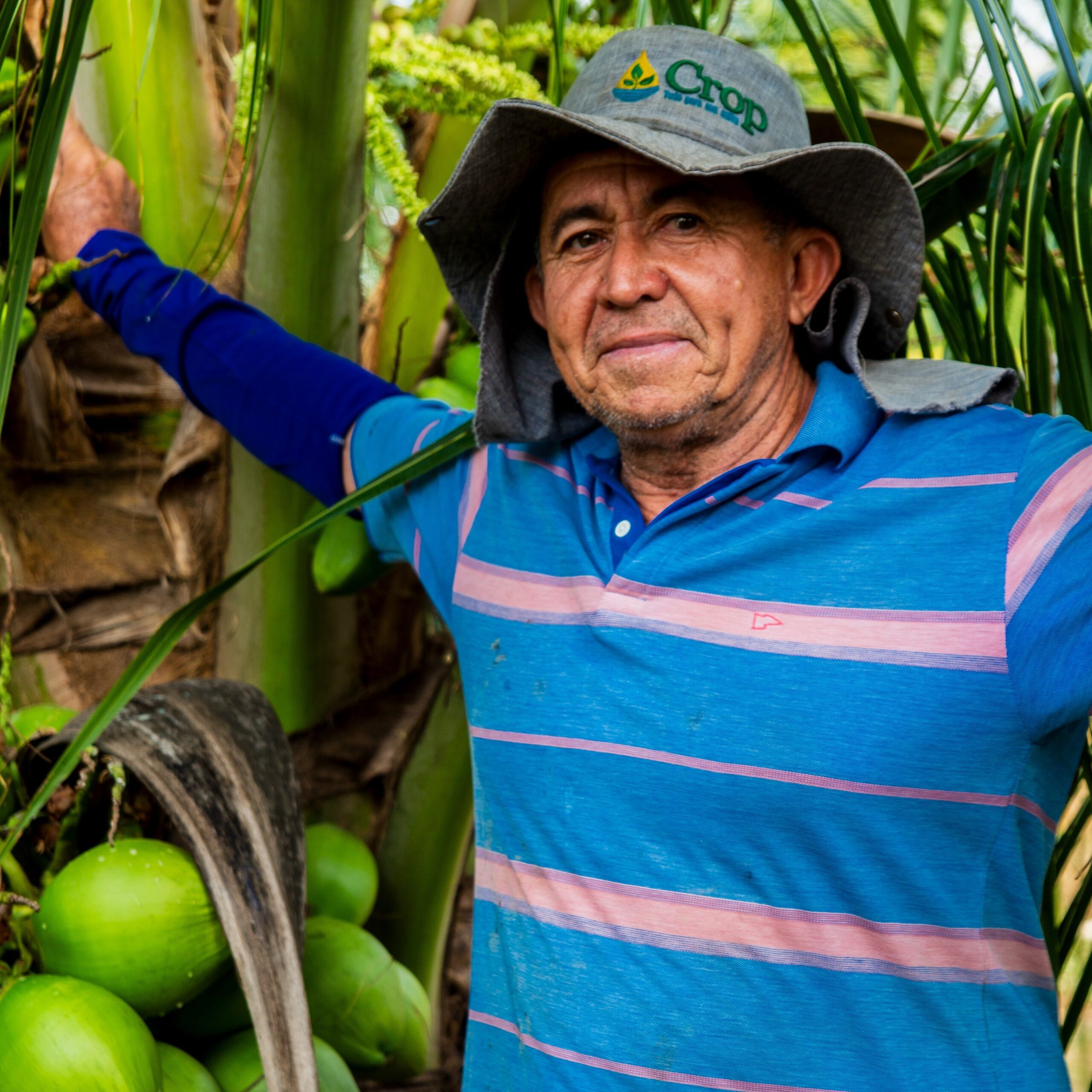 Produtores do Agro | Produtos Frescos e Sustentáveis Direto do Alto Rodrigues RN - Descubra os melhores produtos frescos do Alto Rodrigues. Conecte-se diretamente com produtores locais e apoie a agricultura sustentável. Saiba mais!