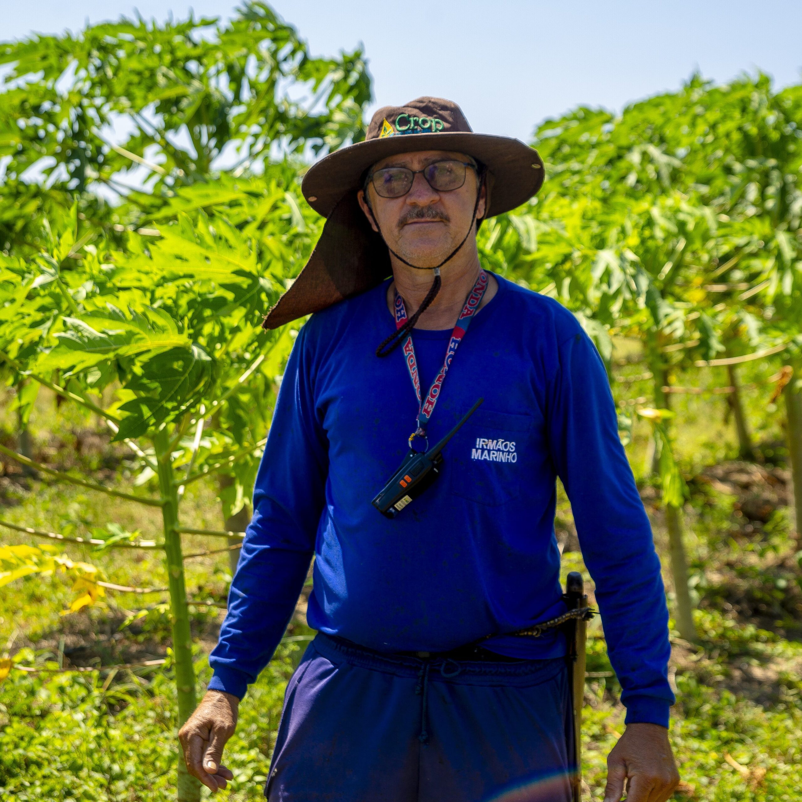 Produtores do Agro | Produtos Frescos e Sustentáveis Direto do Alto Rodrigues RN - Descubra os melhores produtos frescos do Alto Rodrigues. Conecte-se diretamente com produtores locais e apoie a agricultura sustentável. Saiba mais!